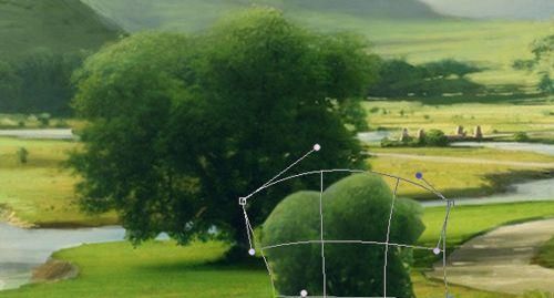 PS在照片中添加一棵不同大小的树