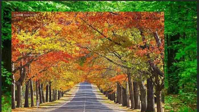 PS利用渐变工具将两张图片融合为一张图