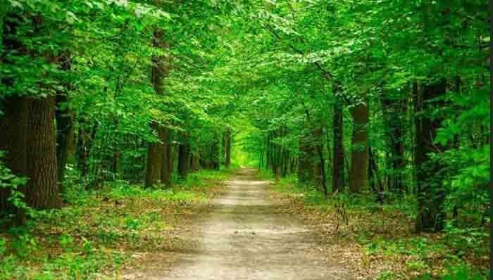 PS利用渐变工具将两张图片融合为一张图