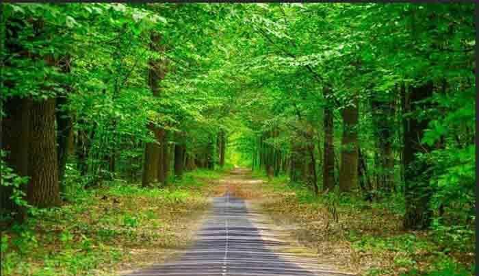 PS利用渐变工具将两张图片融合为一张图