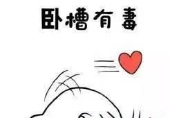 如何提高网站排名？内部链接优化策略详解