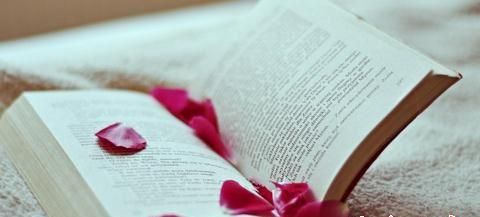 如何去写好SEO原创文章？撰写高质量原创文章的技巧