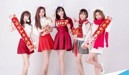 2017年5个网站SEO站群类型推荐