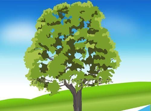 flash怎么绘制一颗苍天大树?