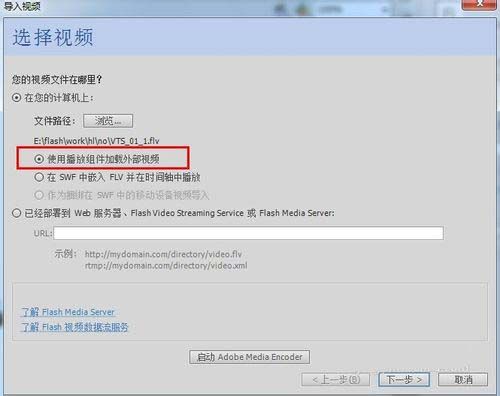 flash怎么调用外部flv视频? flash加载外部视频的教程