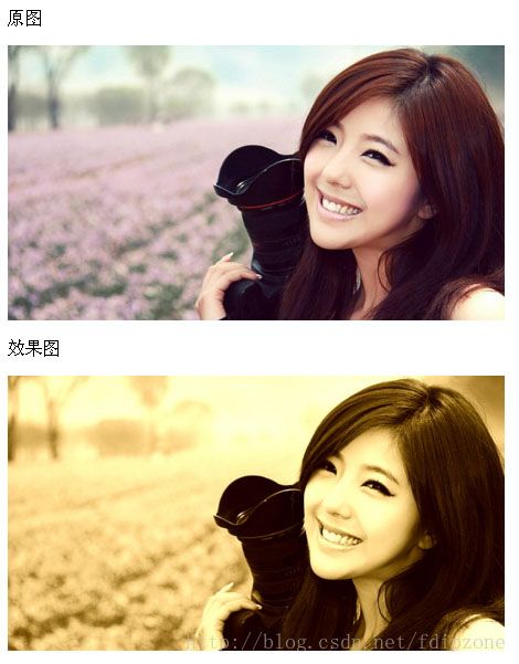 php利用imagemagick实现复古老照片效果实例